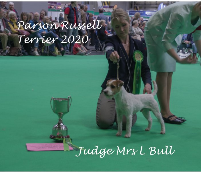 View Parson Russel Terrier at Crufts 2020 by G Blair
