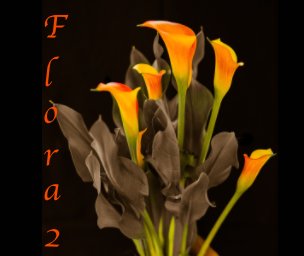 Flora 2 book cover