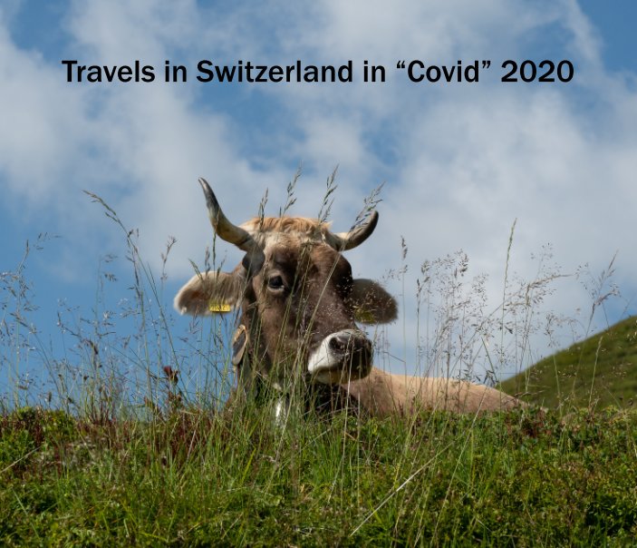 View Switzerland in "Covid" 2020 by Philip Teder