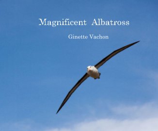 Magnificent Albatross book cover