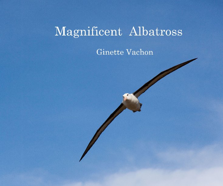 View Magnificent Albatross by Ginette Vachon