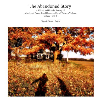 The Abandoned Story book cover