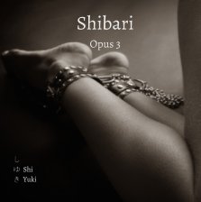 Shibari - Opus 3 - Fine Art Adult Collection book cover