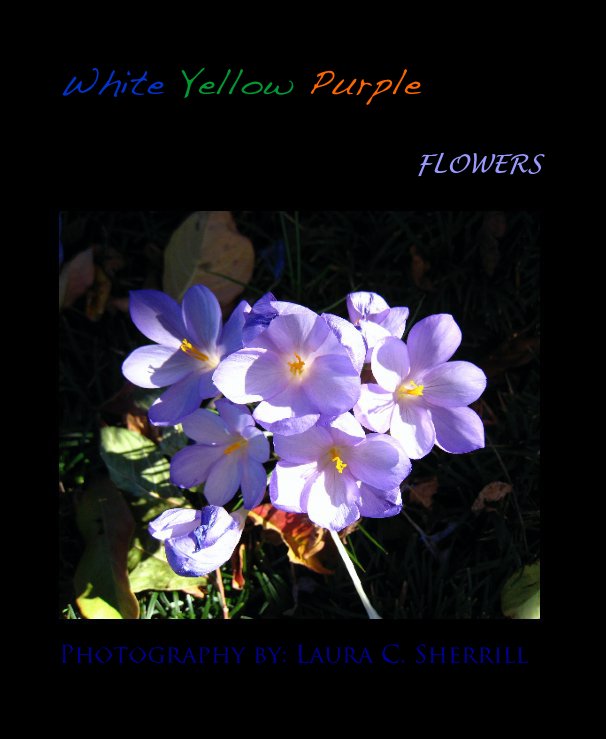 Visualizza White Yellow Purple di Photography by: Laura C. Sherrill