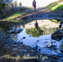 Through Adeena's Eyes book cover