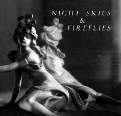 Night Skies and Fireflies book cover