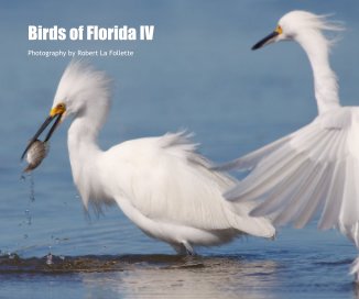 Birds of Florida IV book cover
