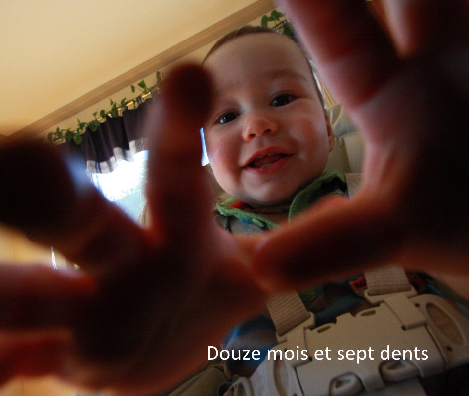 Ver Douze mois et sept dents por Alain Beaulieu