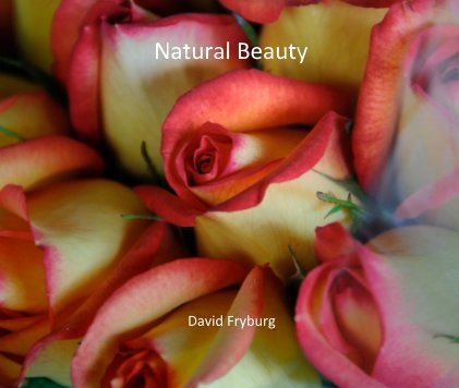 Natural Beauty book cover