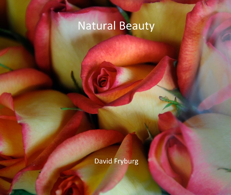 View Natural Beauty by David Fryburg