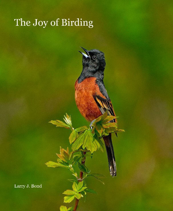 View The Joy of Birding by Larry J. Bond