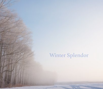 Winter Splendor book cover