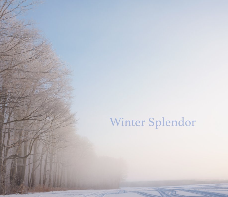 View Winter Splendor by Jeremy Holthuysen