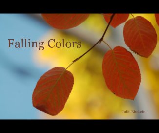 Falling Colors book cover