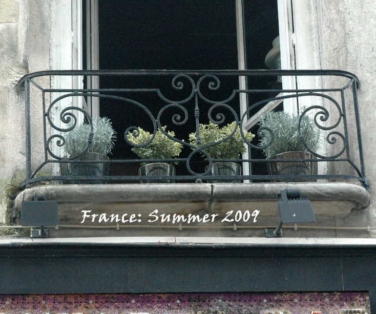 View France: Summer 2009 by Barrie Mirman