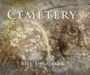 Cemetery book cover