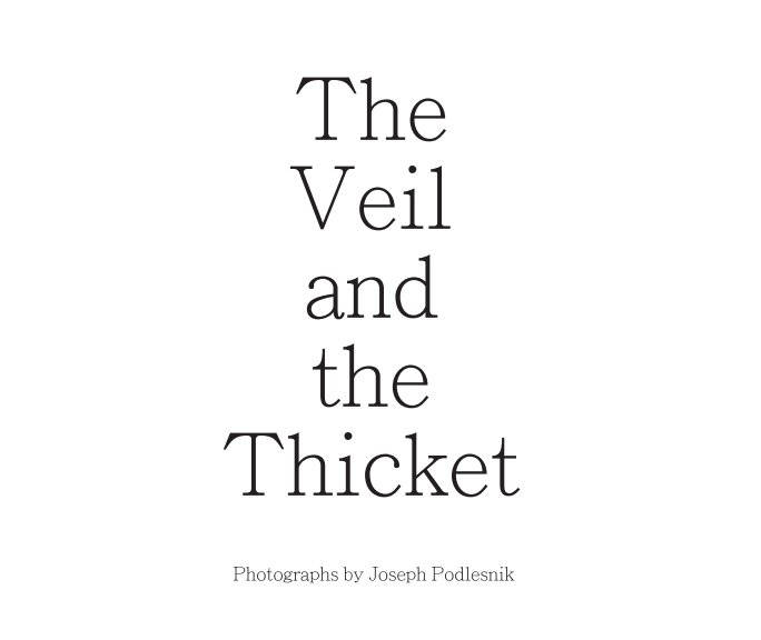 View The Veil and the Thicket by Joseph Podlesnik