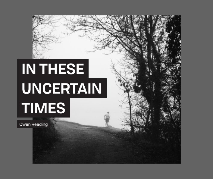 View In These Uncertain Times by Owen Reading