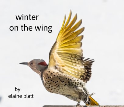 winter on the wing book cover