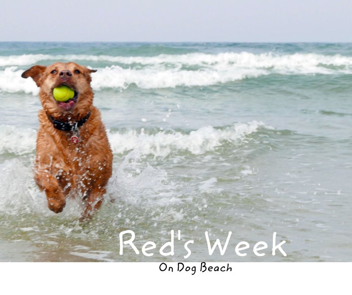 View Red's Week on Dog Beach by Mary Kenez