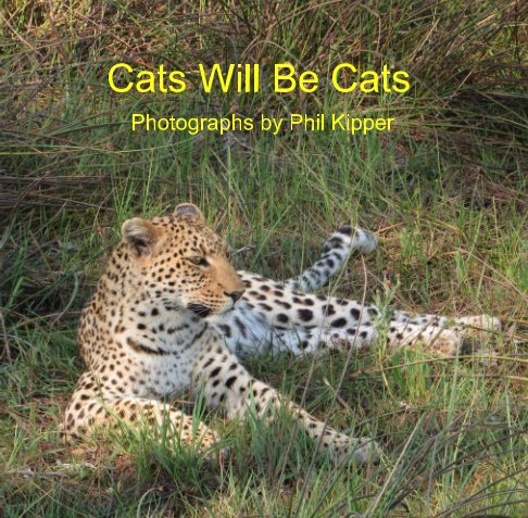 View cats will be cats by Phil Kipper
