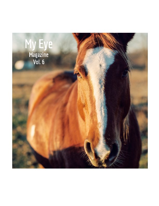 View My Eye Magazine Vol. # 6 by David Fry