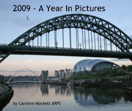 2009 - A Year In Pictures book cover