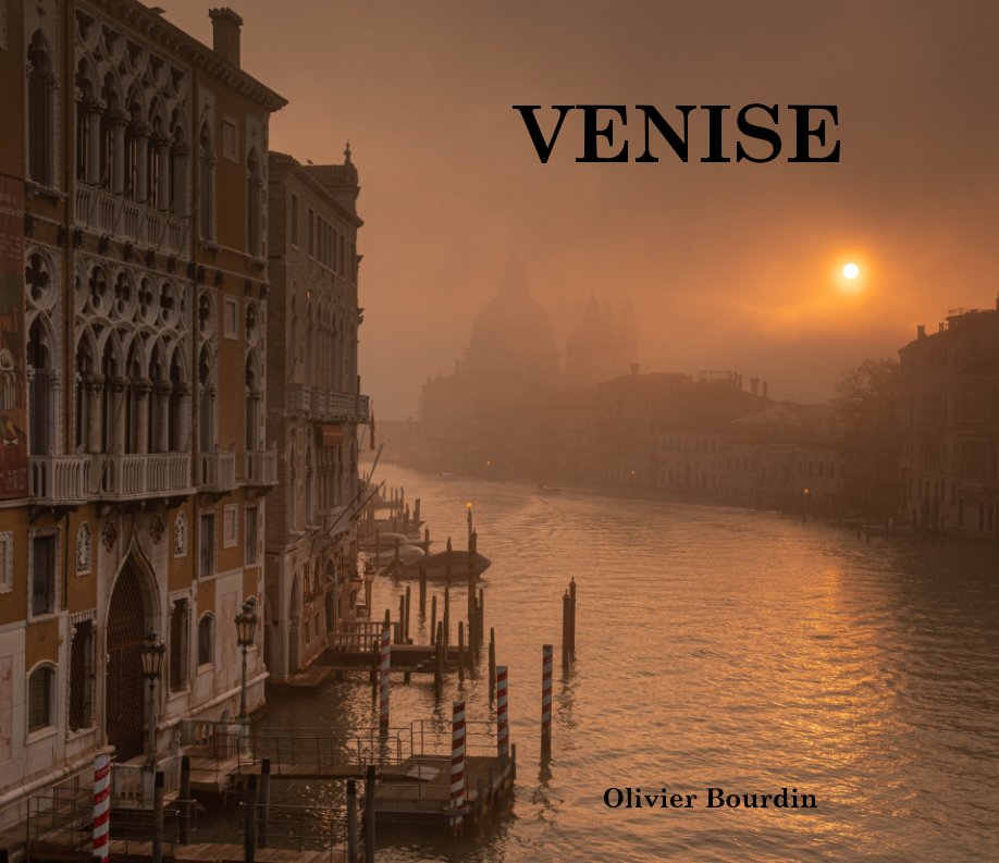 View Venise by Olivier Bourdin