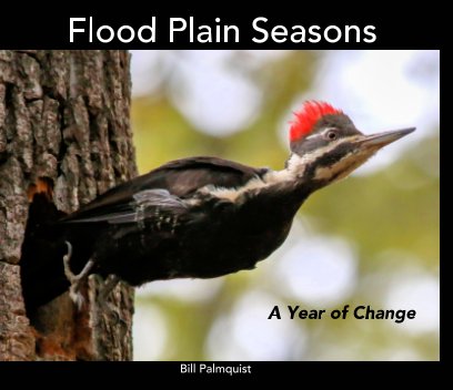 Flood Plain Seasons book cover