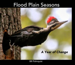 Flood Plain Seasons book cover