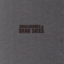 Whalebones and Dark Skies book cover