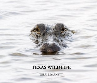 Texas Wildlife book cover