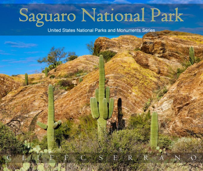 View Saguaro National Park by Cliff C. Serrano