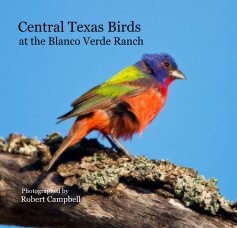 Central Texas Birds at the Blanco Verde Ranch Photographed by Robert Campbell book cover