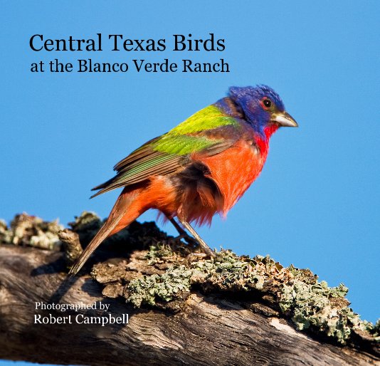 Ver Central Texas Birds at the Blanco Verde Ranch Photographed by Robert Campbell por Robert Campbell