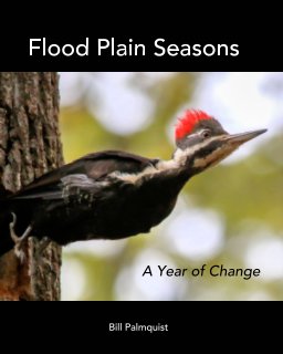 Flood Plain Seasons book cover