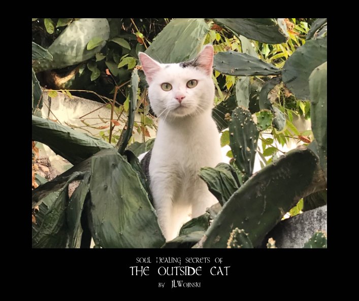 Ver Soul Healing Secrets of The Outside Cat por JL Wojinski