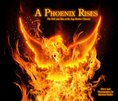 A Phoenix Rises book cover