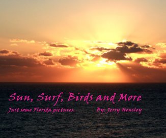 Sun, Surf, Birds and More Just some Florida pictures. By: Jerry Hensley book cover