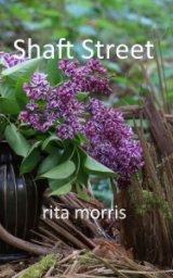 Shaft Street book cover
