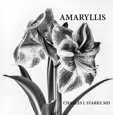 Amaryllis book cover