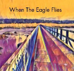 When The Eagle Flies book cover
