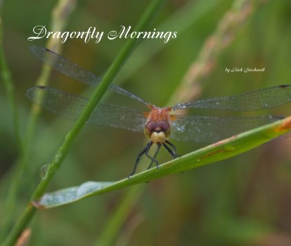 Dragonfly Mornings book cover