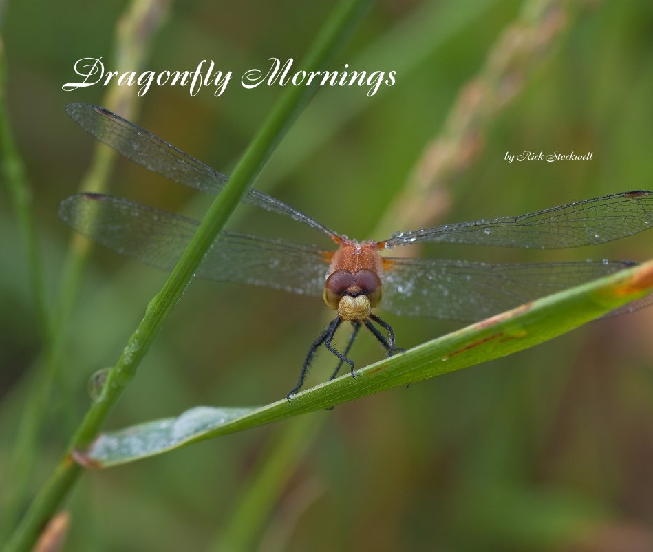 View Dragonfly Mornings by Rick Stockwell