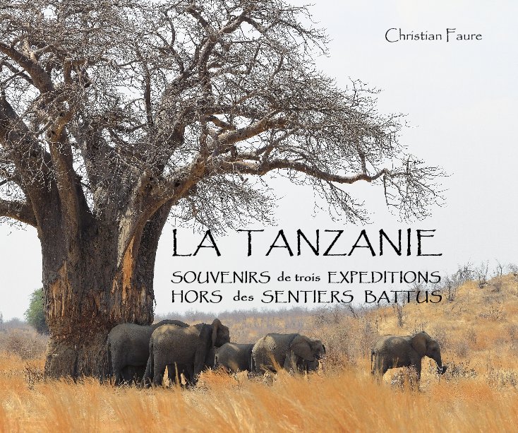 View La Tanzanie by Christian Faure