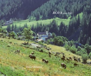 Roya book cover