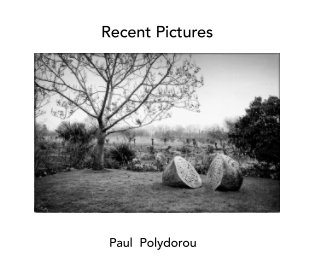 Recent Pictures book cover