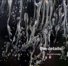 the details book cover