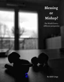 Blessing or Mishap? book cover