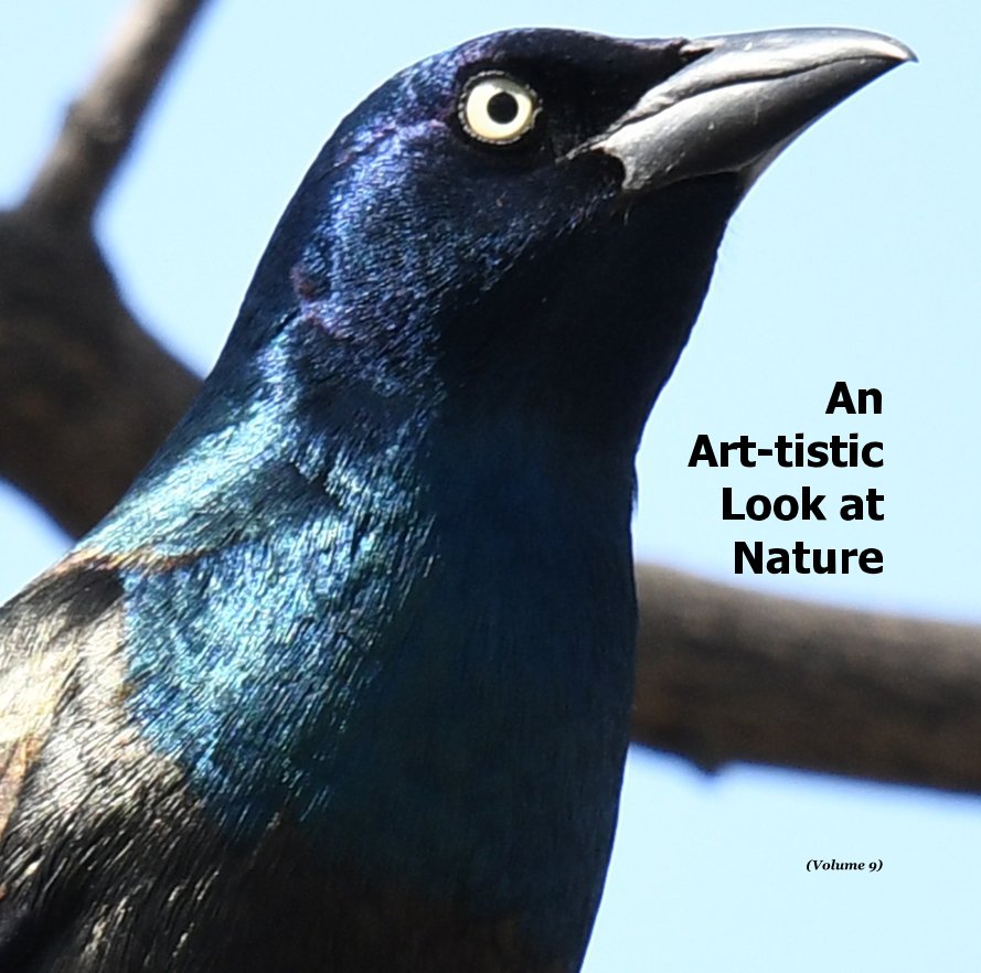 View An Art-tistic Look at Nature by (Volume 9)